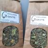 Gavys2