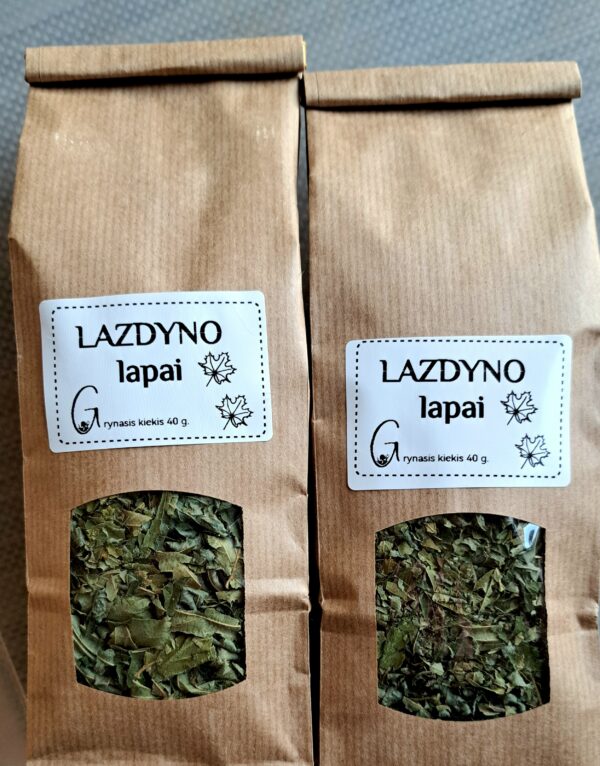Lazdyno lapai - Image 2