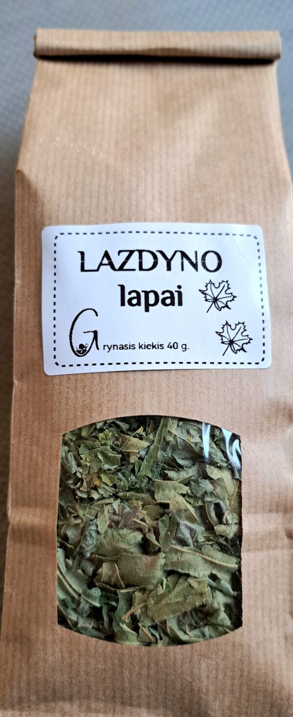Lazdyno lapai