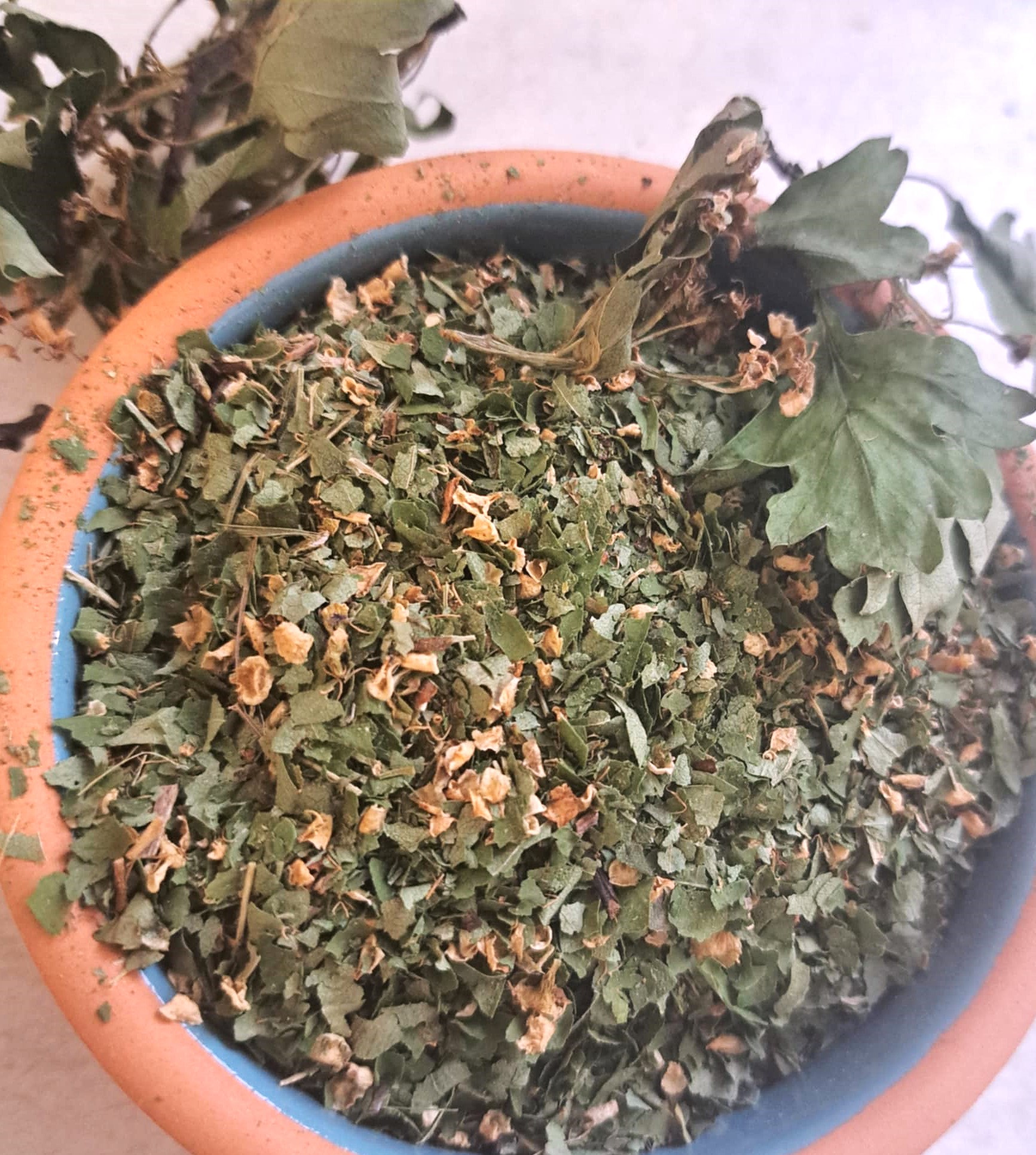 GUDOBELES-LAPAI-IR-ZIEDAI