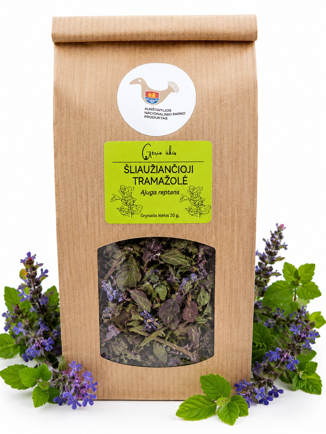 Šliaužiančioji tramažolė (Ajuga reptans)